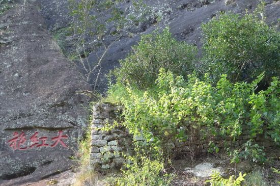 母樹大紅袍給誰(shuí)喝了，為什么母樹大紅袍叫三棵六株？