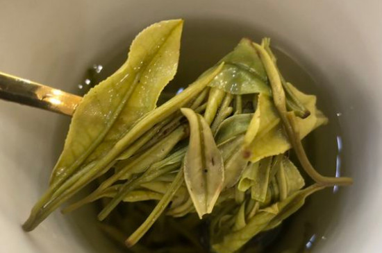 新舊白茶怎么區(qū)分，怎么分辨白茶是新還是舊