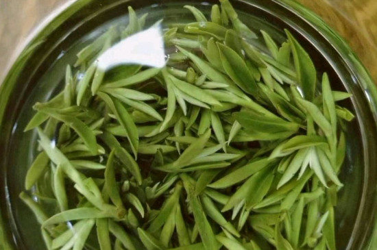 什么綠茶茶葉唇齒留香，哪個品種綠茶香氣好？