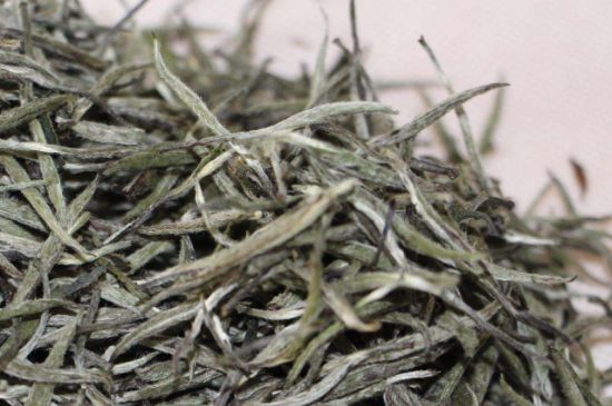 什么人不能喝白茶，白茶不宜什么人喝？