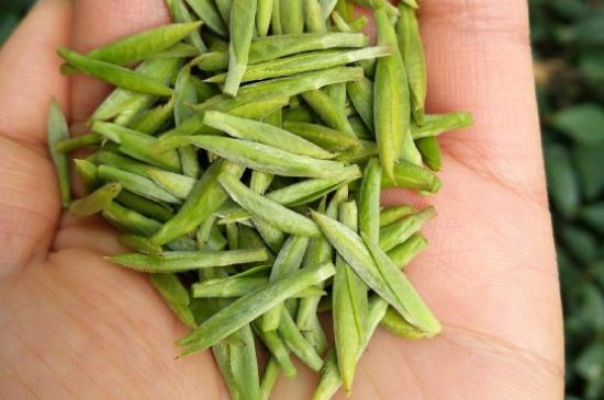 什么綠茶味道濃香，那個綠茶比較濃香？