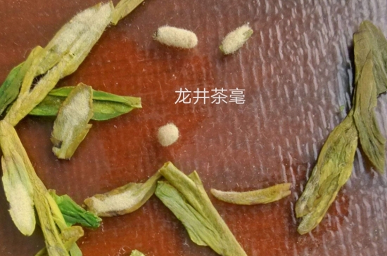 西湖龍井茶毫和發(fā)霉區(qū)別圖片，長霉的龍井茶葉會是什么樣？
