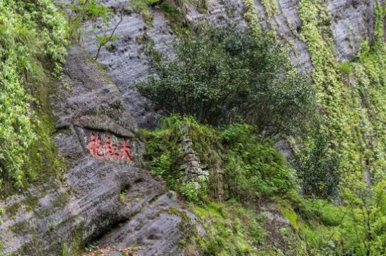 大紅袍為什么沒保質(zhì)期，武夷巖茶大紅袍能放幾年？