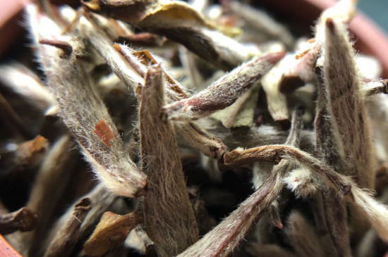 白毫銀針年份越久越好嗎，銀針白毫是否越陳越好