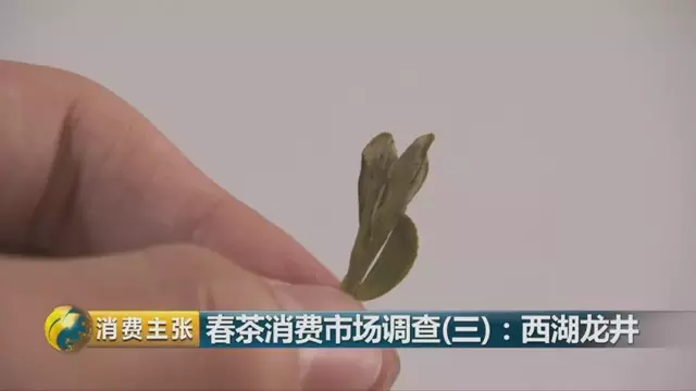 龍井群體種和43號(hào)的區(qū)別圖片，龍井43和群體種哪個(gè)好喝？