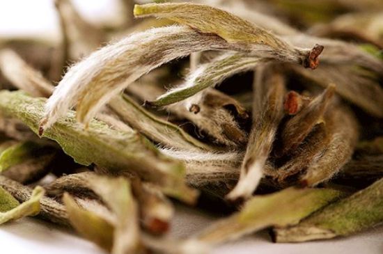 荒野銀針有什么特點，荒野銀針的味道口感咋樣？