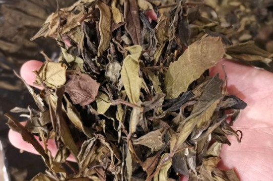 新舊白茶怎么區(qū)分，怎么分辨白茶是新還是舊