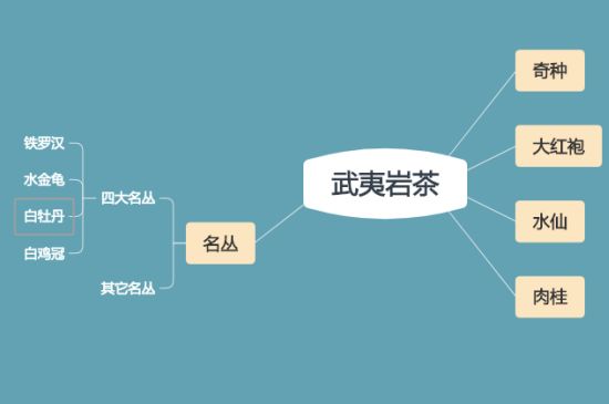武夷巖茶品種大全，巖茶有幾種？