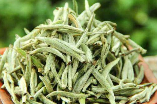 白毫銀針年份越久越好嗎，銀針白毫是否越陳越好