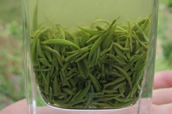 什么綠茶茶葉唇齒留香，哪個品種綠茶香氣好？