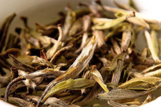 荒野銀針市場(chǎng)價(jià)多少，真正的荒野白毫銀針多少錢？