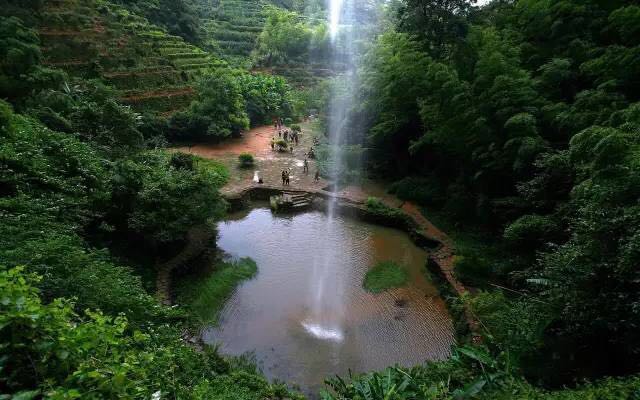 武夷山為什么盛產(chǎn)茶葉，武夷山茶為什么好喝？