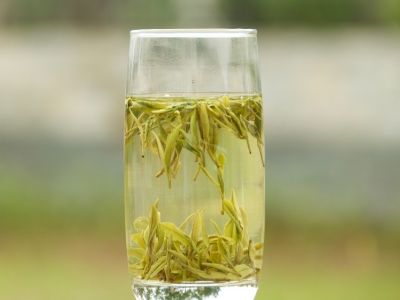 霍山黃芽算是好茶嗎，霍山黃芽屬于什么茶？