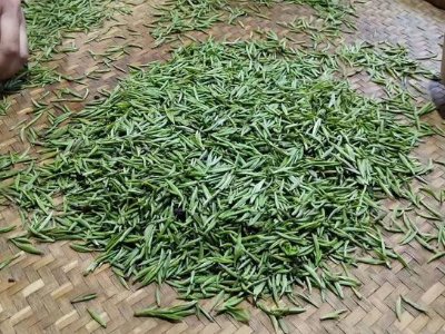 金駿眉幾年可以算陳茶，金駿眉新茶好還是老茶