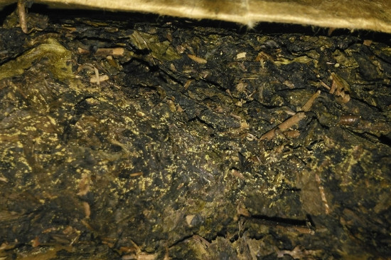 黑茶茯茶保存五大忌，茯茶收藏的注意事項(xiàng)