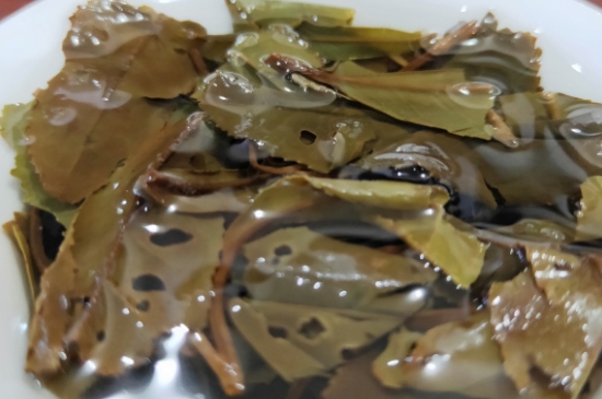 白茶三年為藥七年為寶的原理，為什么說一年茶三年藥七年寶？