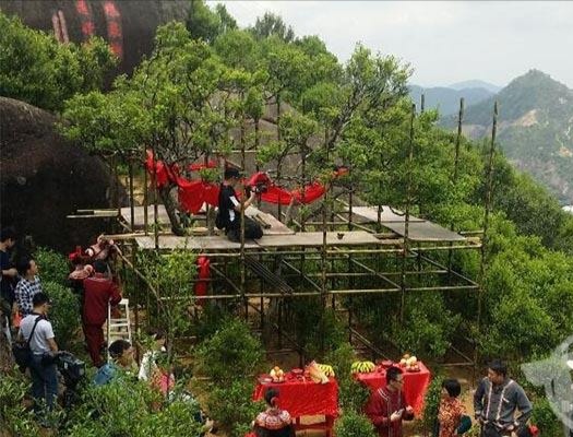 宋種一號價(jià)值為什么高，鳳凰單樅宋種1號價(jià)格與產(chǎn)量多少？