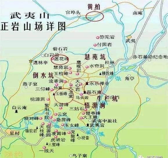 肉桂茶和大紅袍哪個貴，武夷山肉桂與大紅袍的價格比較