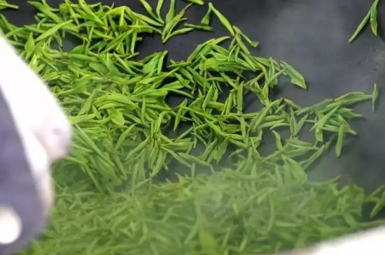 碧螺春為什么泡水渾濁，碧螺春茶葉泡水感覺很臟是混濁的