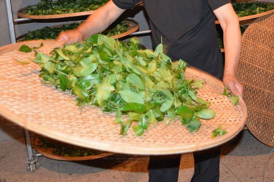 鐵觀音加香精騙局，鐵觀音的香味是添加香精了嗎？