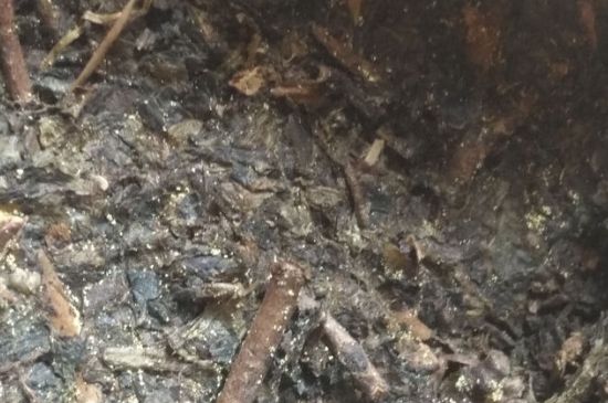 黑茶茯茶保存五大忌，茯茶收藏的注意事項(xiàng)