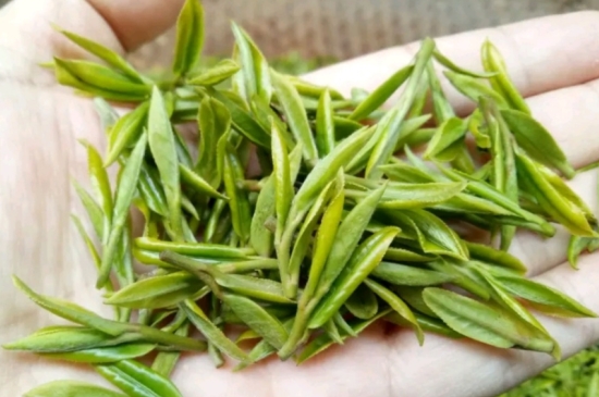 什么是雪前龍井茶，明前、雨前、雨后龍井有什么區(qū)別？