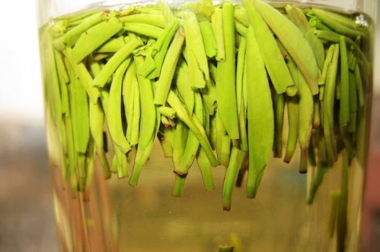 雀舌為何喝著是苦的，雀舌味道怎么那么苦澀？