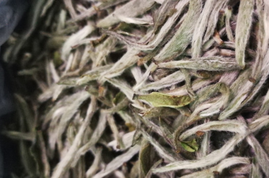 白毫銀針年份越久越好嗎，銀針白毫是否越陳越好