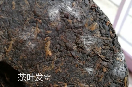西湖龍井茶毫和發(fā)霉區(qū)別圖片，長霉的龍井茶葉會是什么樣？
